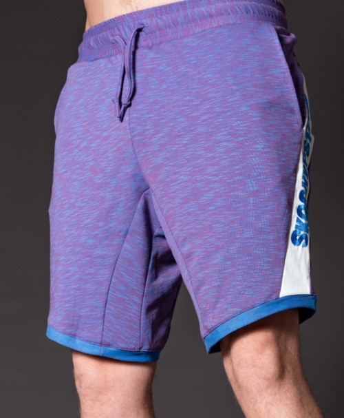 Performance Shorts - Purple